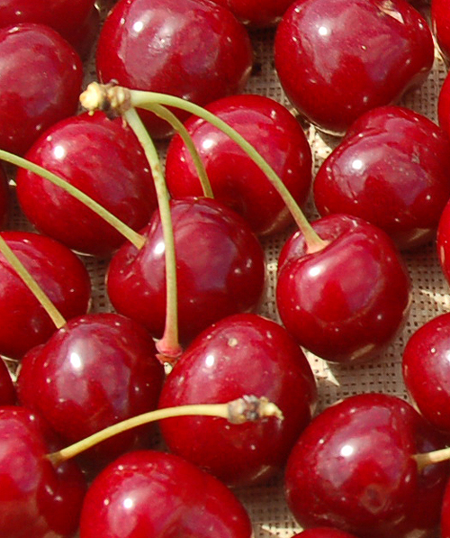 cherries