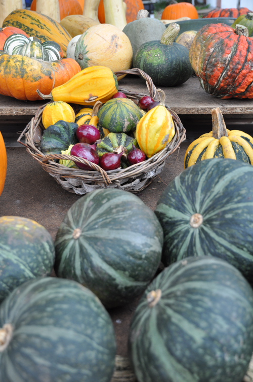 Gourds