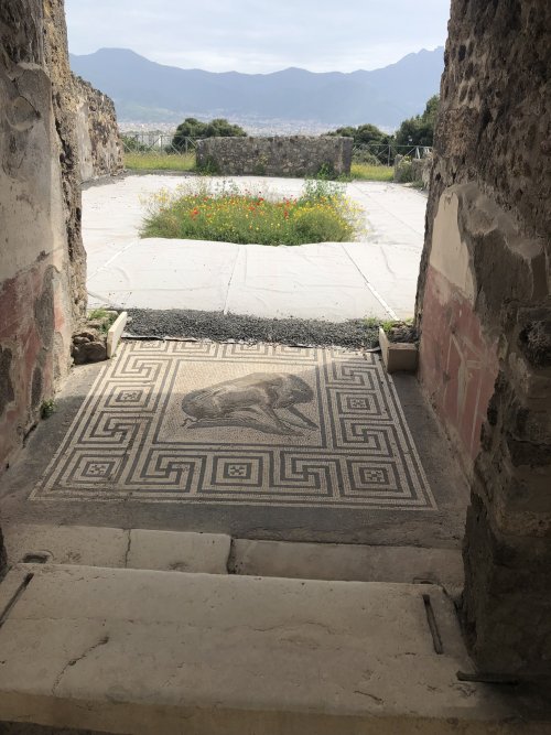 pompeii_dog_mosaic.jpg