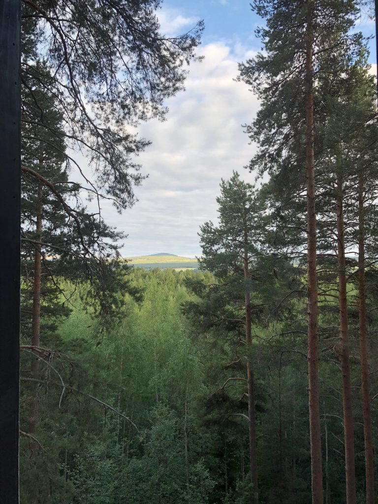 treehotel view