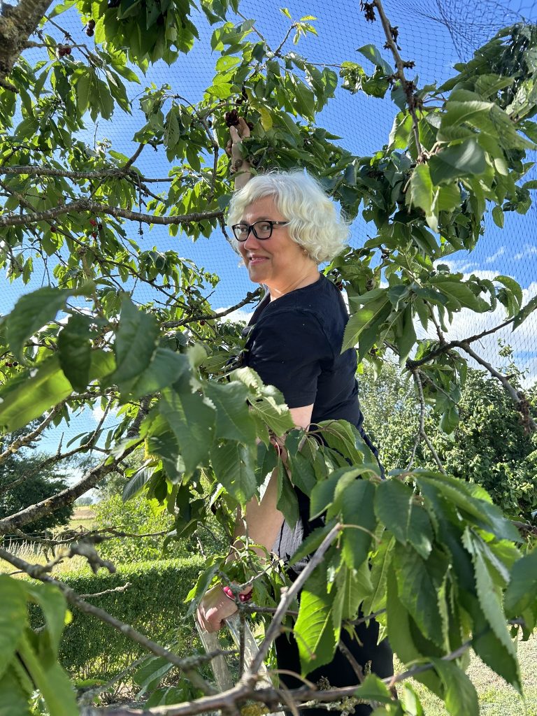 Camilla in the cherry tree