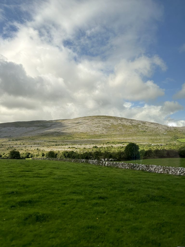 Burran landscape