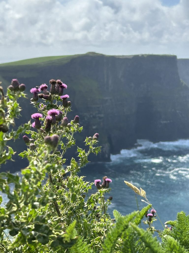 Cliffs of Moher