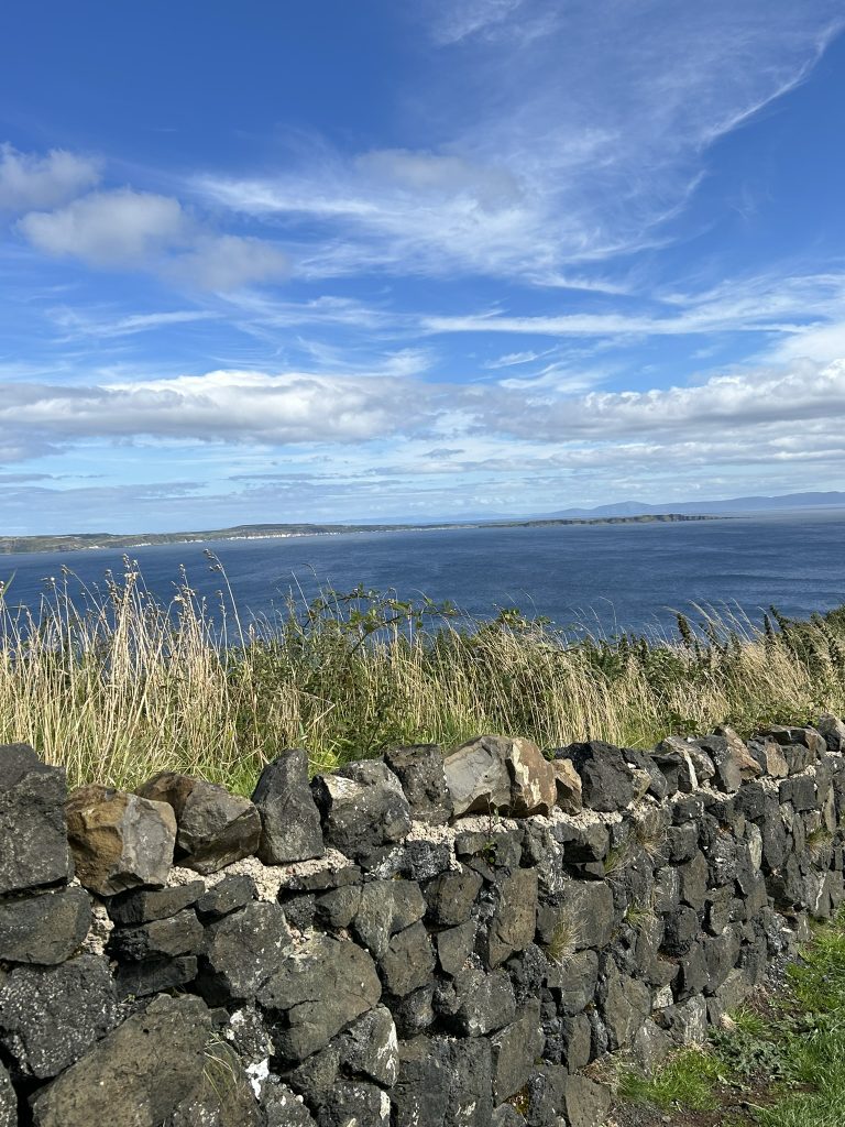 view