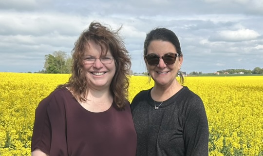 obligatory rapeseed photo