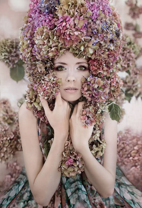 Kirsty Mitchell Wonderland Hydrangea