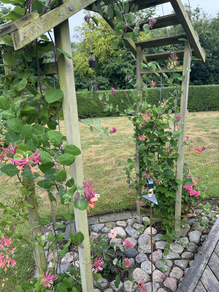 trellis