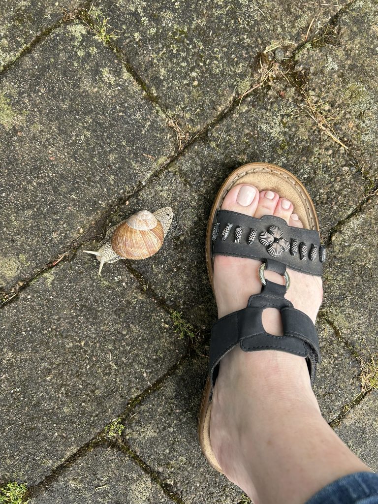 Giant snail