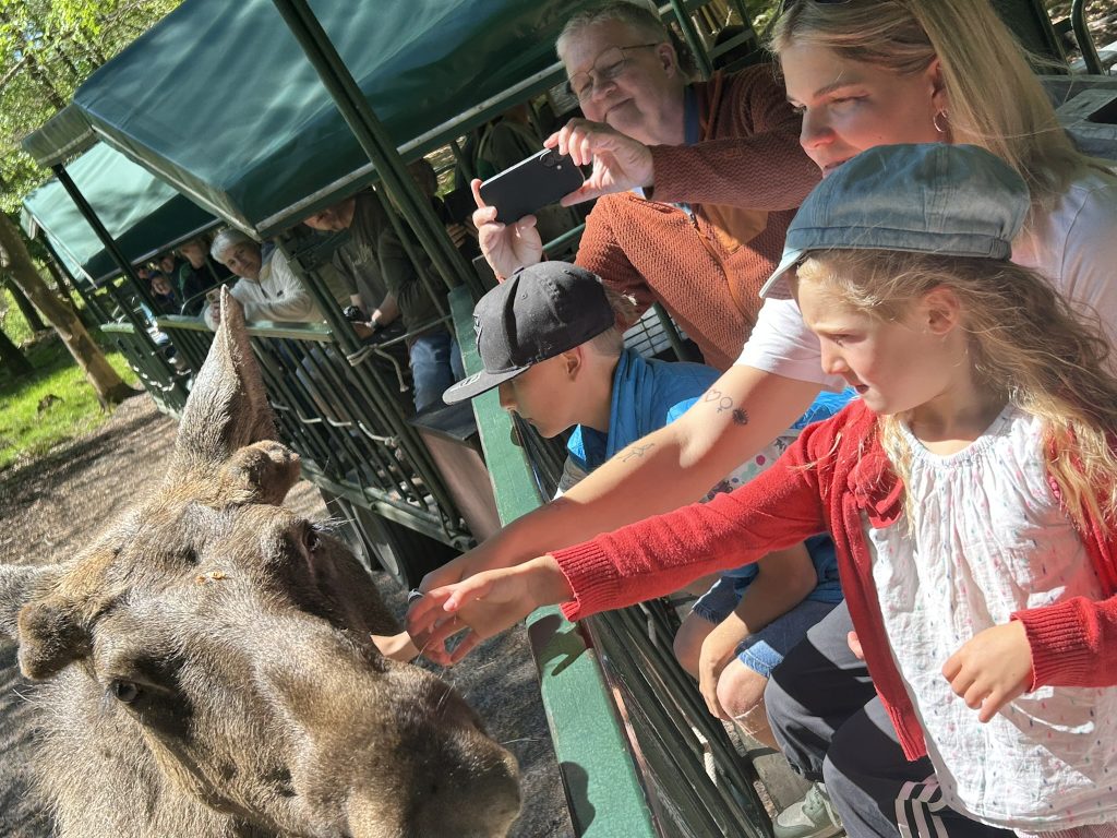 feeding the moose