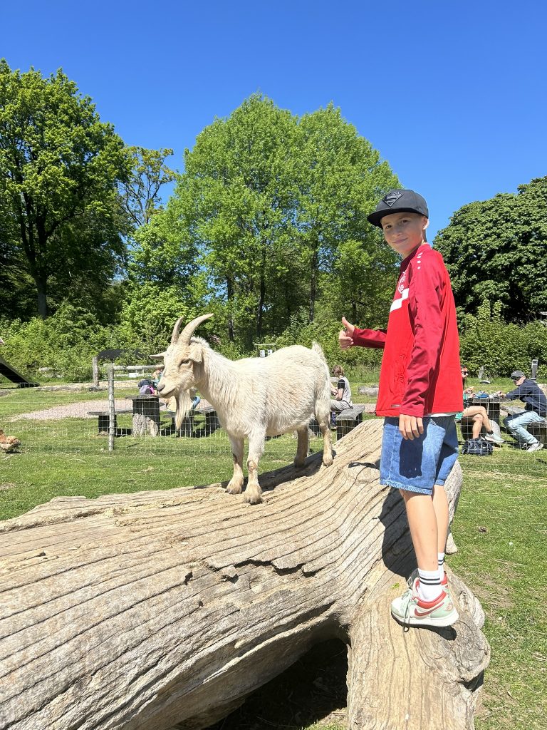 Jakob playing king of the mountain