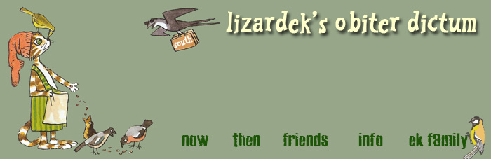 lizardek's obiter dictum